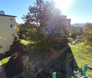Zadbane mieszkanie 3-pok. z balkonem do wynajęcia - Фото 2