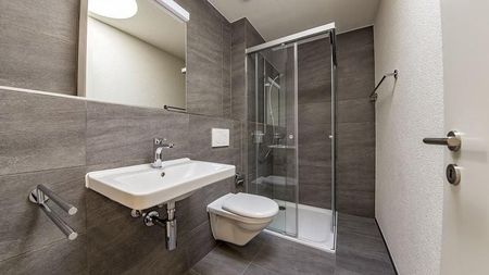 3.5-Zimmer-Attika-Wohnung mit Sommeraktion - Foto 4