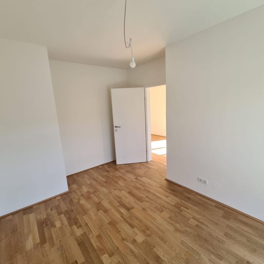 Neubau 2-Zimmer-Wohnung mit uneinsichtiger Dachterrasse - Photo 1