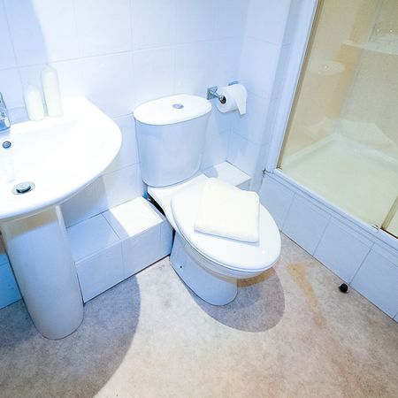 250 VINERY ROAD Leeds - LS4 2LA - Photo 4