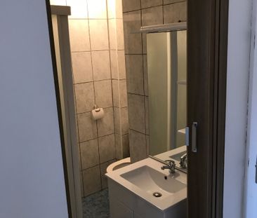 Location Appartement 1 pièce 18m² - Photo 3