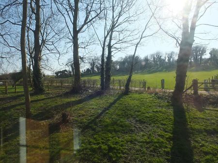 Muston Farm, Piddlehinton - Photo 5