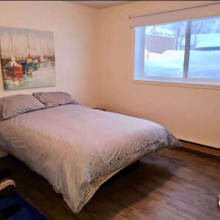 Logement centre-ville Victoriaville, 3 et demi 2 et demi, 1 et demi - Photo 1