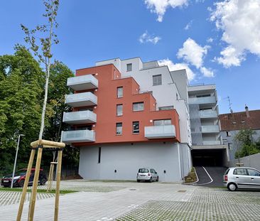 Location Appartement 3 pièces 71m² STRASBOURG 67200 - Photo 6