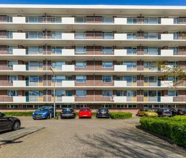Professor Cobbenhagenlaan 5037 Tilburg - Photo 3