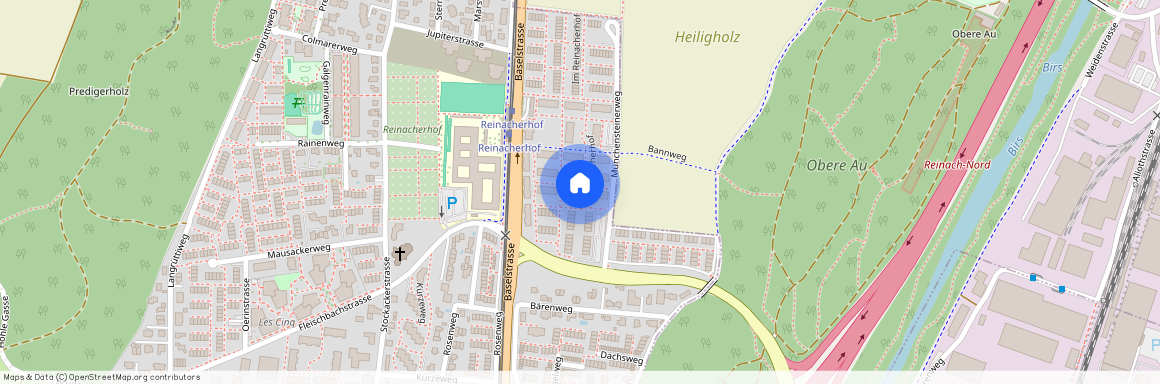 Im Reinacherhof 71-79, 4153 Reinach BL, Lageplan