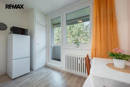 Pronájem bytu 2+1 v osobním vlastnictví 50 m², Brno - Fotografie 4