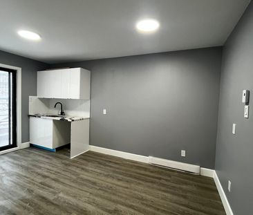 Rue Quesnel, H3J 1G7, Montréal - Photo 4