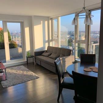 Bright 1 bedroom, 1 bath condo $2700 - Photo 3