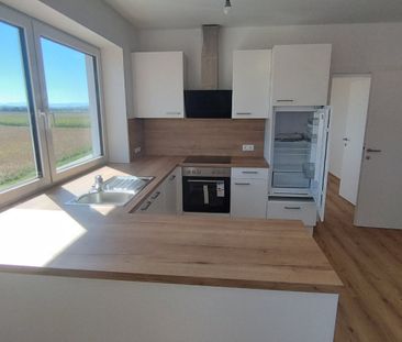 2-Zimmer Wohnung in Ennsdorf mit neuer Küche & Gartenmitbenützung - Photo 4