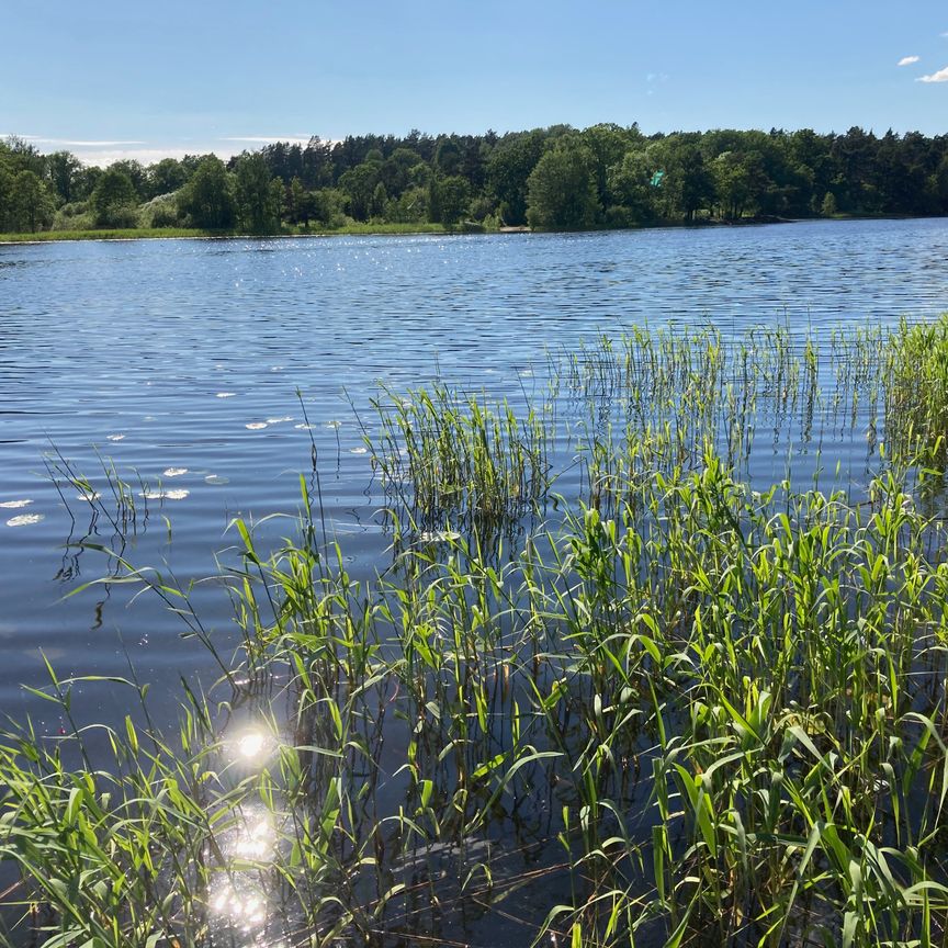 Forshagagatan, Farsta - Photo 1