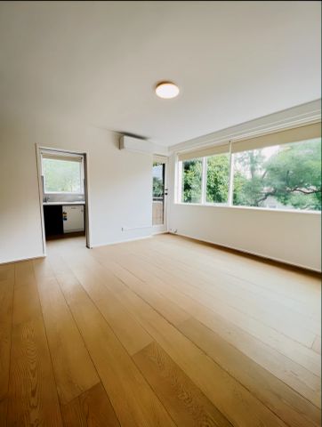 1 Bed 1 Bath - Photo 2