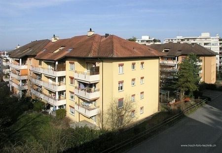 Ensoleillé, en ville, au bord du lac - Photo 5