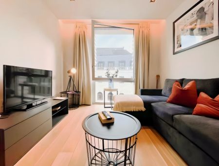 1 Bedroom 1 Bathroom - Photo 3