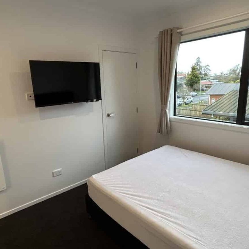 Highlight on Hibiscus - Photo 1