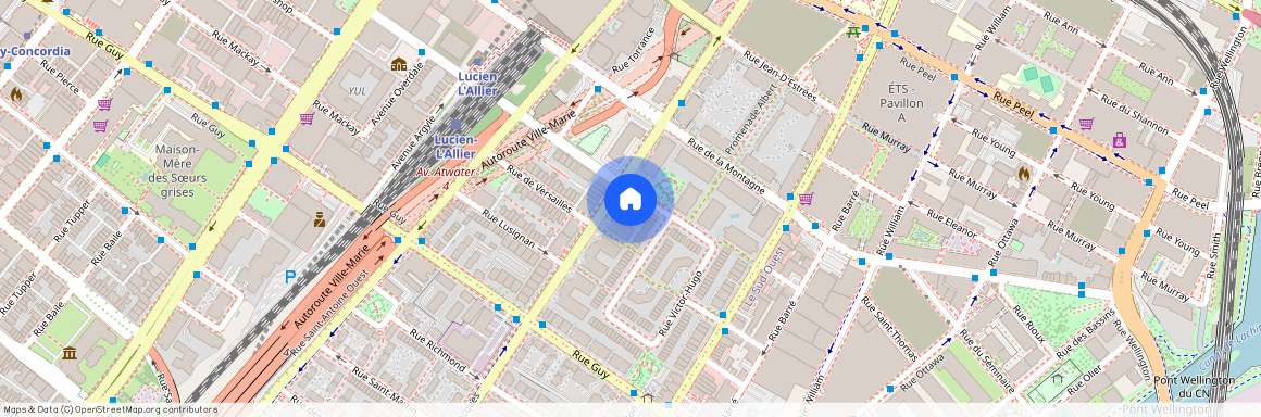 Nouveauté, 1400 Rue St-Jacques, app. 3, Montréal (Ville-Marie), H3C4J4