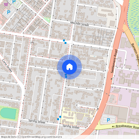 61 Francis Street, Vic 3216, Belmont