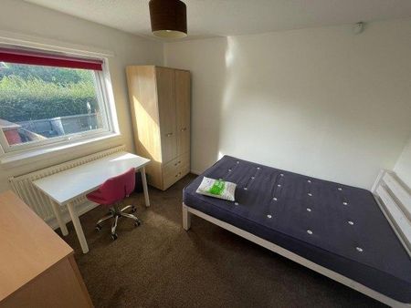 3 bedroom house share to rent - Photo 3