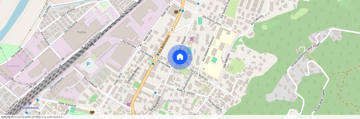 Via Olgiati 20B, 6512 Giubiasco