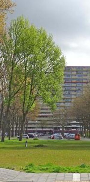 Oost Dorsch 1504 BH Zaandam - Foto 1