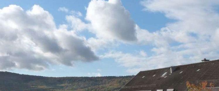 Großzügige DG-Wohnung am Feldrand von Rommelshausen - Foto 1