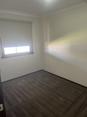 Don't Miss This 3x1 Well Located With A Large Backyard. - Photo 4