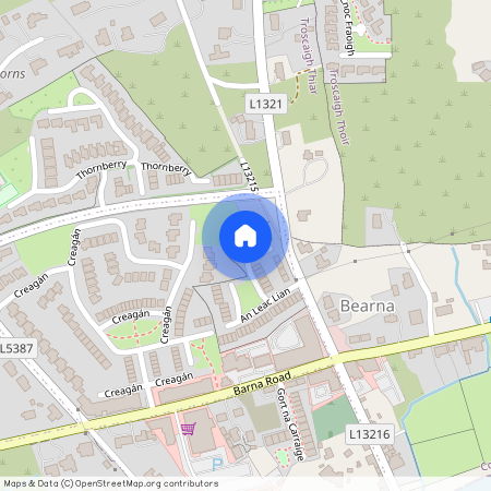 6 An Leac Lian, Barna, Galway