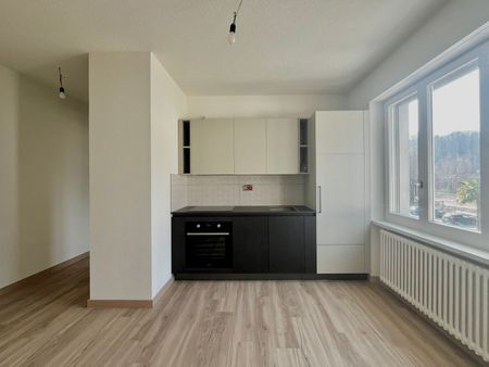 2.5 Zimmer, 45 m², 1. Stock - Photo 2