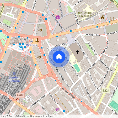 Carlisle Place, Westminster, SW1P 1NP, London