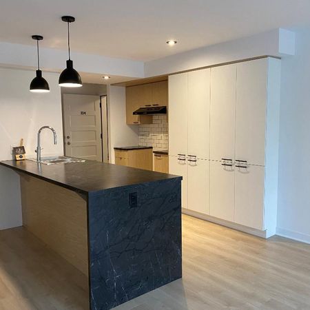 Logement 4 1/2 - Ascenseur - Mars 2026 - Photo 4