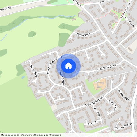 Woodland Drive, Flint, CH6