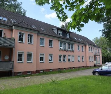 Hübsche Single-Wohnung in grüner Oase ! - Photo 1