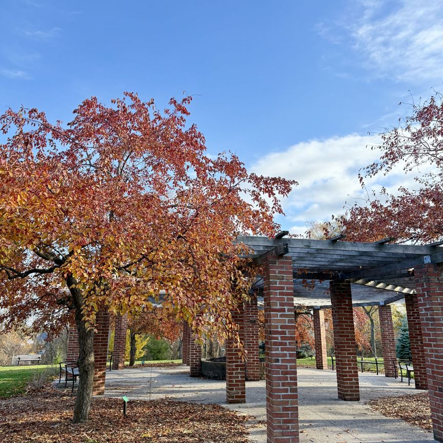 For Lease - 18 Hickory Street, Collingwood, Ontario - Photo 1