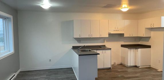 Beau 4 1/2 libre maintenant à Ste-Catherine (rive-sud de Mtl) - Photo 2