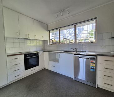 Live the Sunny Kilbirnie Life – Rooms with a View! - Photo 3