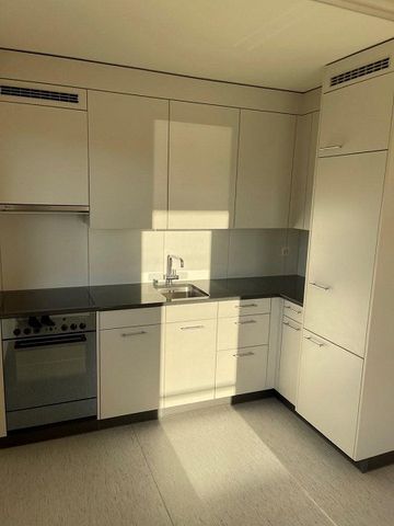 Grosse Wohnung im schönen Richterswil - Foto 5