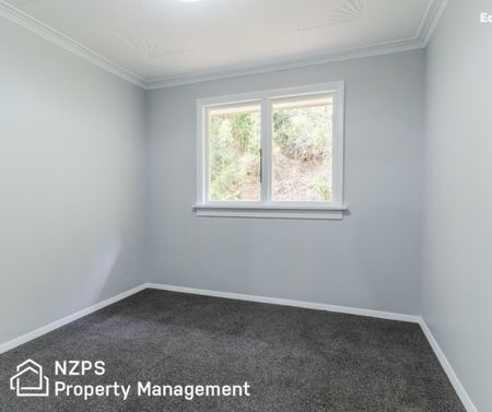 41 Montague Street, North East Valley - Photo 5