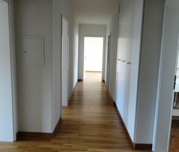 3.5 Zimmerwohnung in Dübendorf - Photo 1