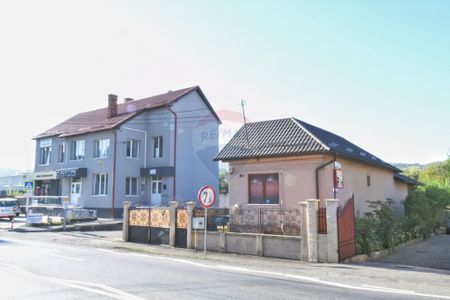 Casa cu 2 camere si 912 mp teren de inchiriat, zona Baciu - Fotografie 4