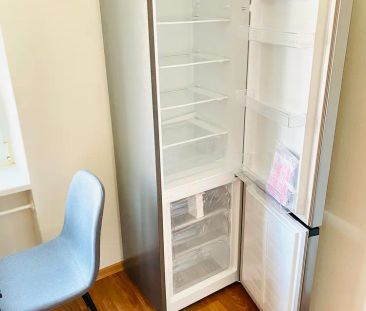 Pronájem bytu 1+1 po rekonstrukci - Fotografie 2