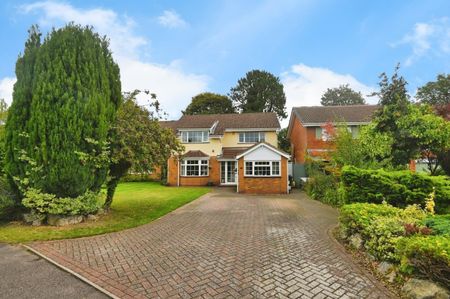 4 bedroom House To Let - Photo 3