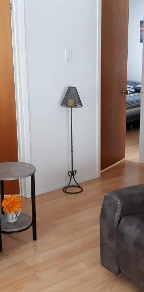 4 1/2 Mont-Laurier, Super Logement à ne pas manqué - Photo 1