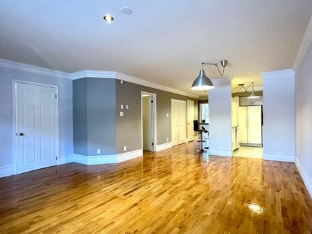 1322 Rue La Fontaine, Montréal (Ville-Marie), QC H2L - Photo 3