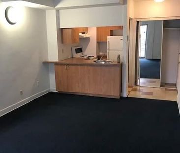 1 CH - 1 SDB - Montréal - $1,375 /mo - Photo 4