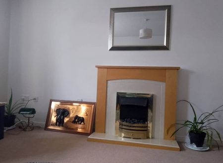 Longchamp Drive - Photo 4