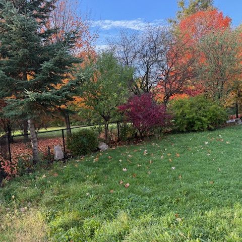 For Lease - 12 Cobblestone Court Unit# (Basement), Brampton, Ontario - Photo 1