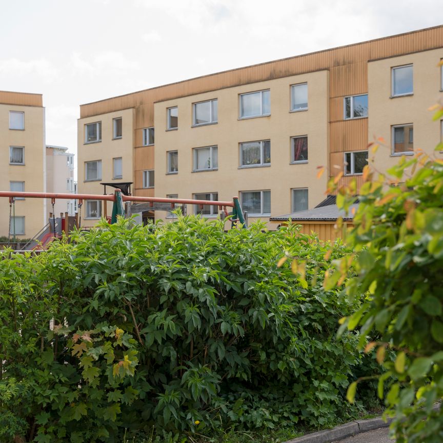 Runebergsgatan 50 b - Photo 2