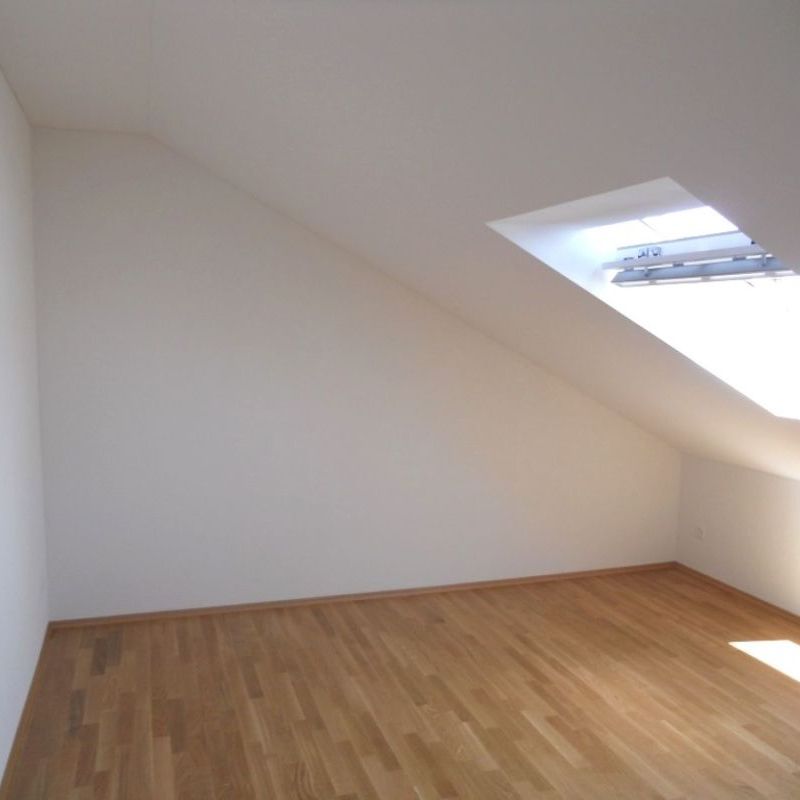 2.5 Zimmer - Photo 1