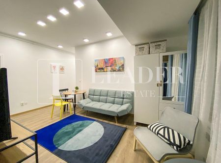 Inchiriere apartament I Herastrau Aviatiei - Fotografie 4