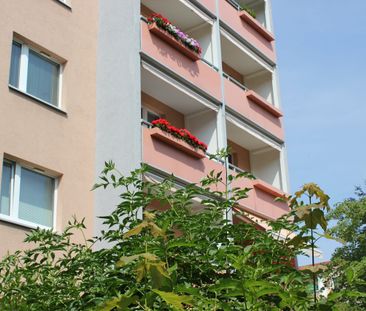 Singelwohnung mit Einbauküche - Photo 1